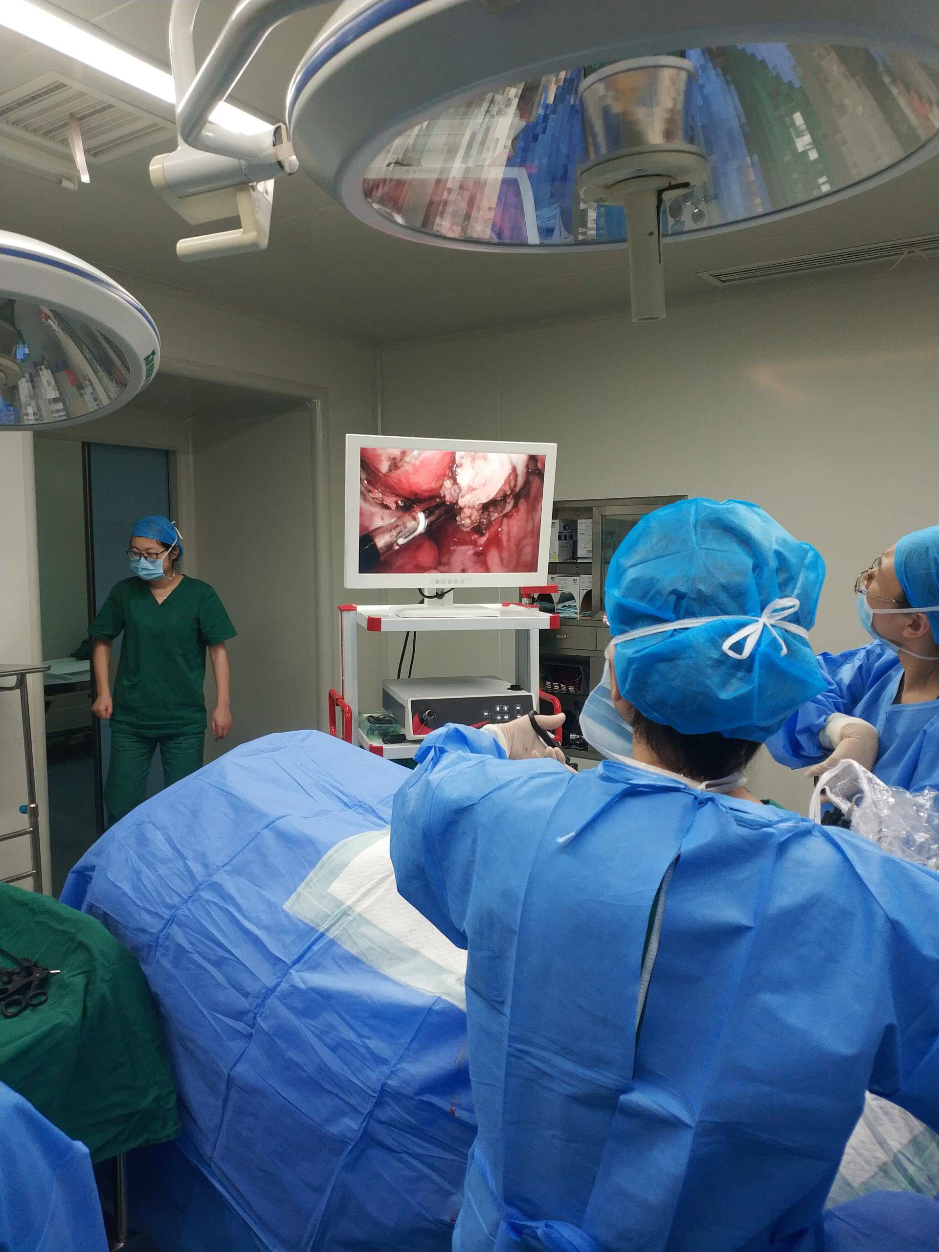 Medical Surgical Laparoscopy Set Endoscope